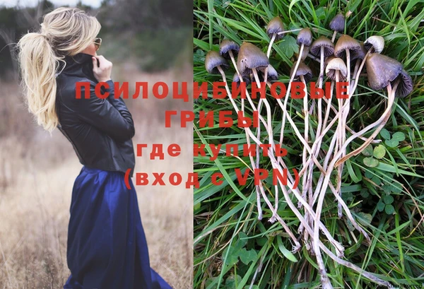 не бодяженный Армянск