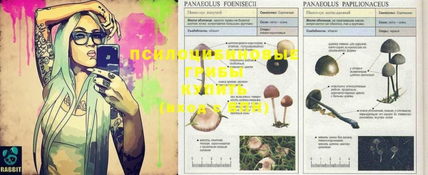 синтетический гашиш Нея