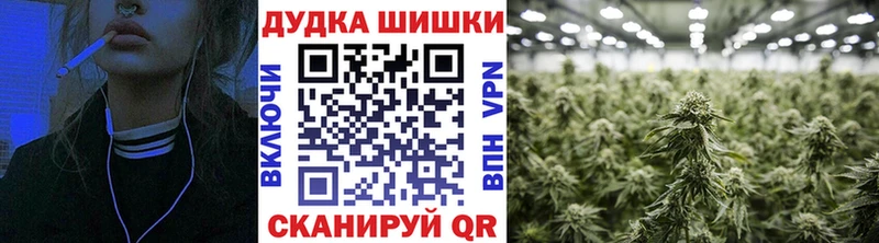 Канабис гибрид  цены   Салехард 